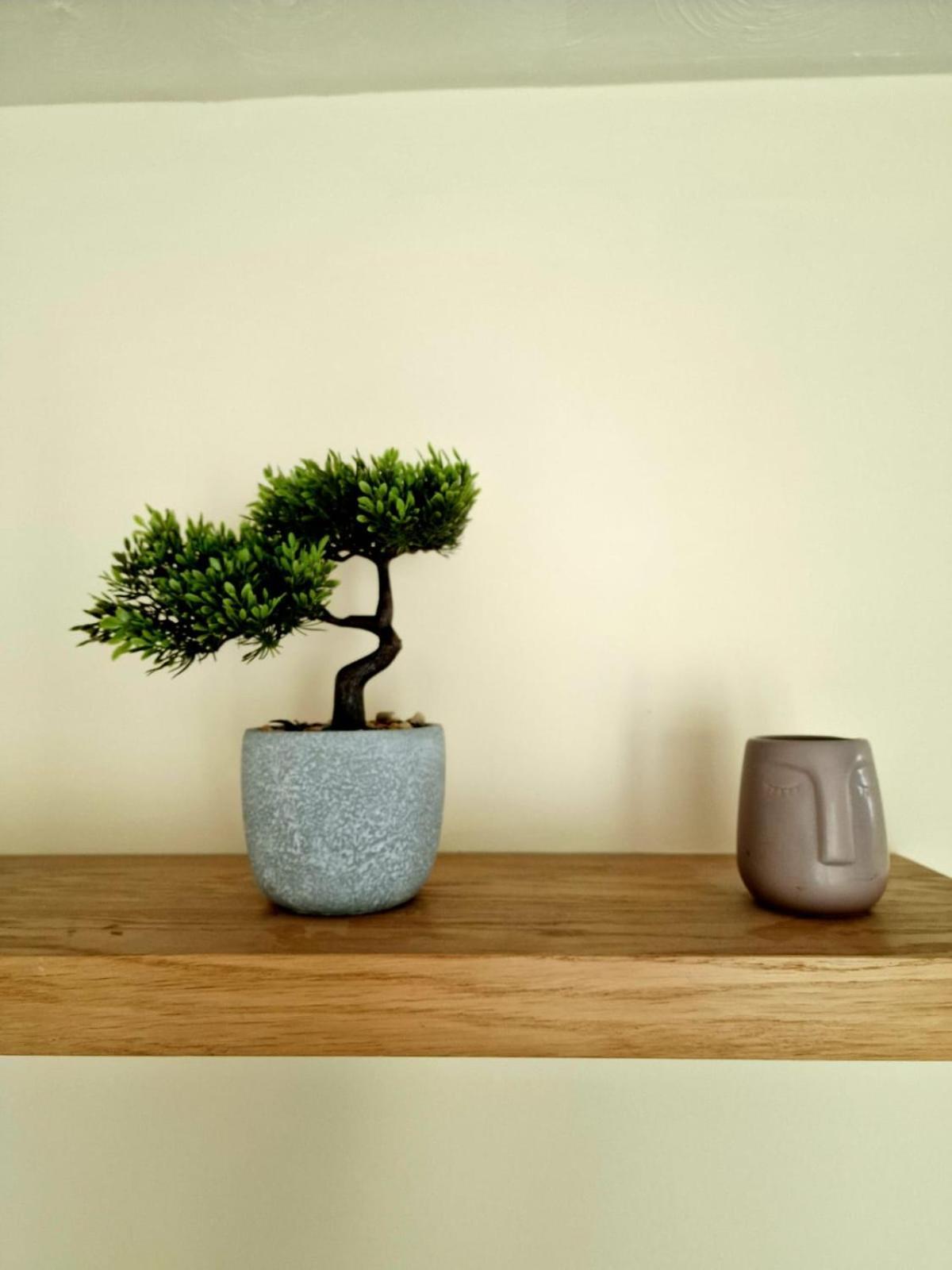 Yuriko Villa Saint Davids  Ngoại thất bức ảnh